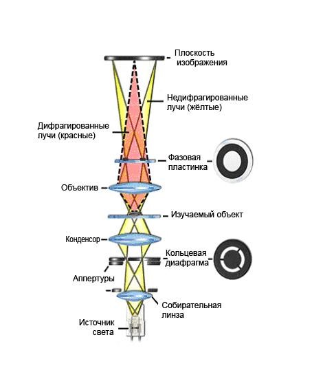 Устройство фазового контраста